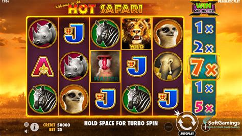 Hot Safari  игровой автомат Pragmatic Play